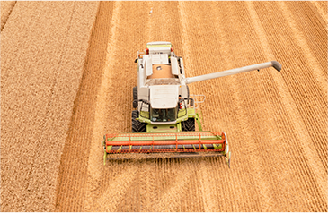 收——加大收割自动化力度，利用智能收获系统，保种保收，提产提质
