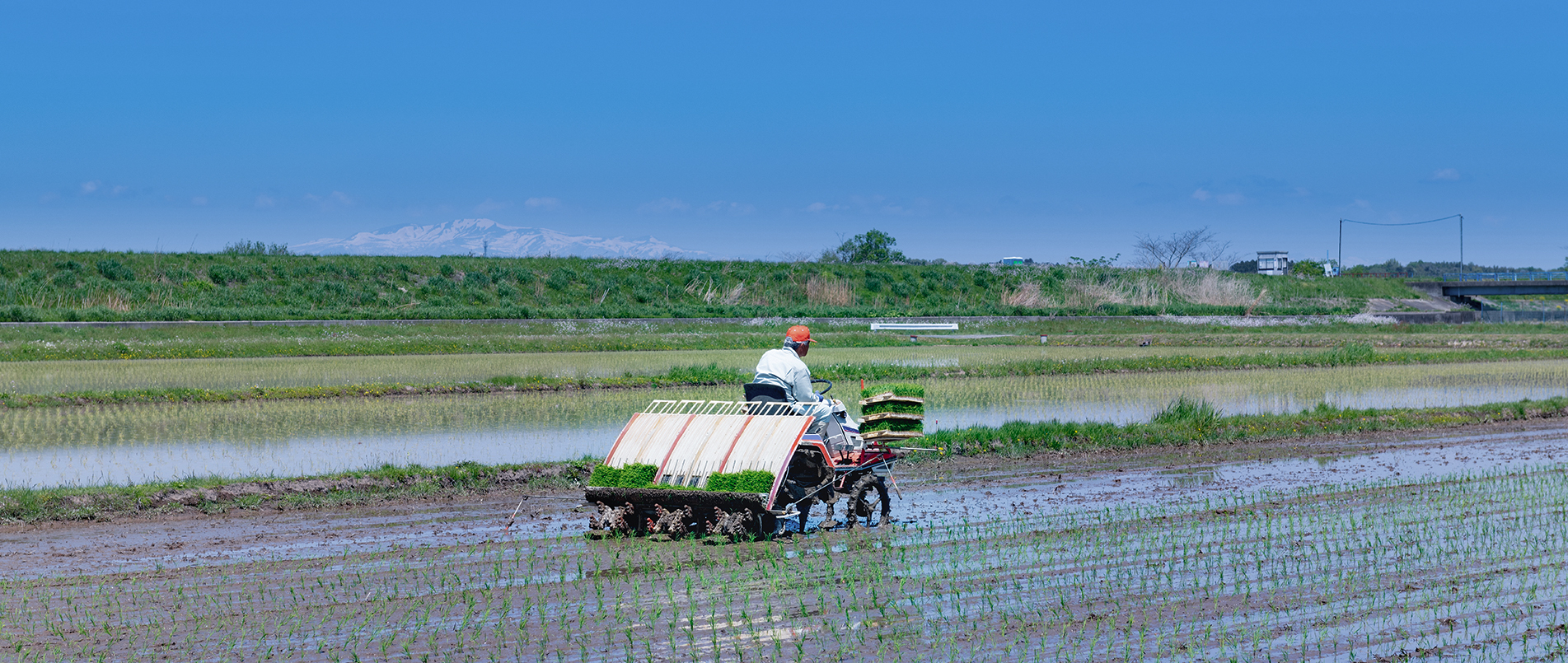 农机水田作业的“智慧大脑”——沃地泰FMA210，告别“经验种植”，开启精准高效农业之旅